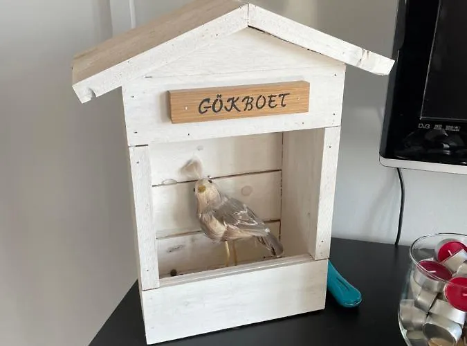 Goekboet